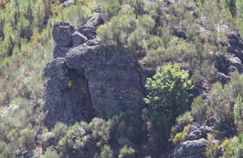 Retiro Da Arminda - Foto 69