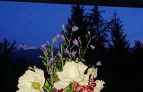 Casa delle Rose - Foto 37