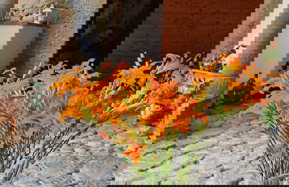 Affittacamere Valnascosta - Foto 75