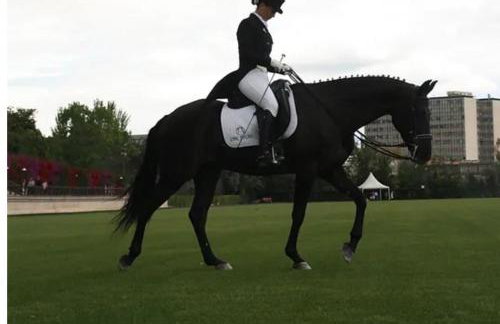 Masia Pau Prat - Foto 73