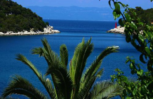 Apartments Leo Katić - Foto 1