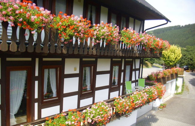 Charming Apartment With Balcony, Garden, BBQ, Parking, Heating - Foto 30