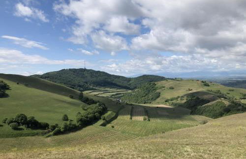 Ferienhaus Irene - Foto 35