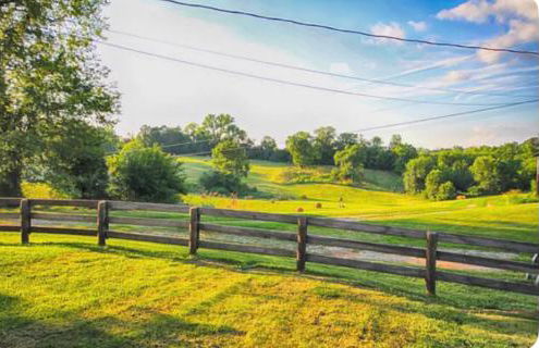 Crocketts Cabin - Foto 12