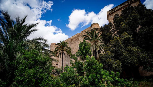 Free tour di Elche - Foto 2