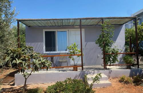 Vine Veranda - Photo 9