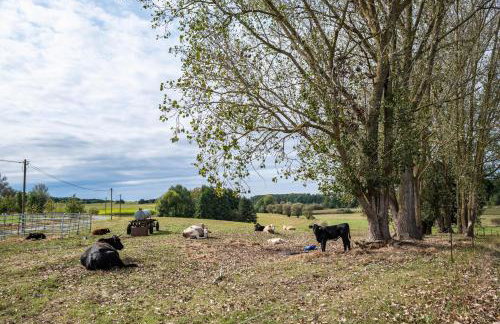 Moderner Bungalow, rollstuhlgerecht - Foto 26