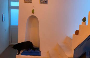 Casa Civetta - Foto 12