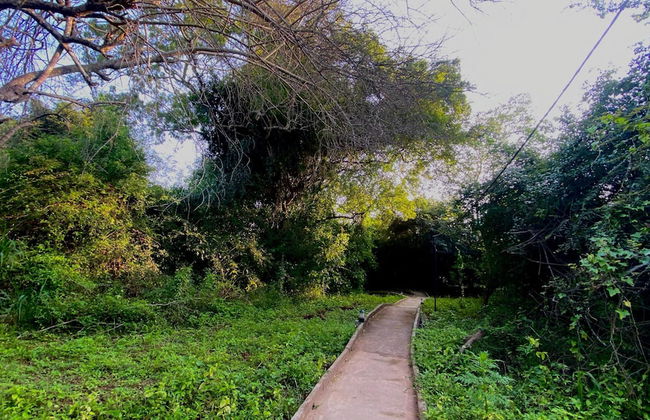 Kotiya Eco Villas - Photo 33