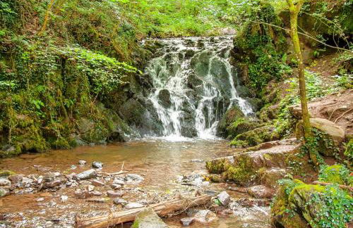 Ferienhaus Bad Bertrich - Photo 63