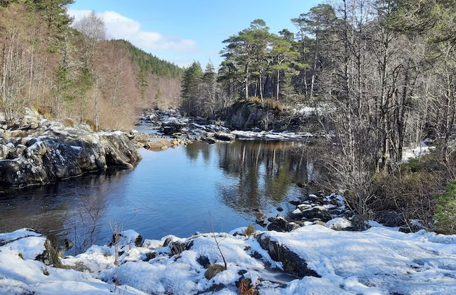 1 Bed Flat - Sleeps 4 - Garden - Parking - Wifi - Foto 10