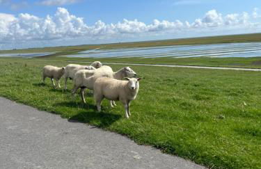 Ferienwohnung Nebelhorn in Dagebüll - Foto 49