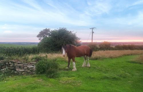 Sunset Cabin - Foto 9