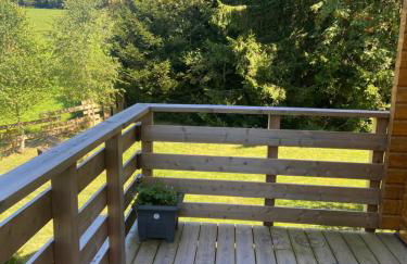 Chalet bois au calme, en lisière de forêt, balcons, sentiers balades Gérardmer & Alsace "Chalet Mon beau sapin" - Foto 32