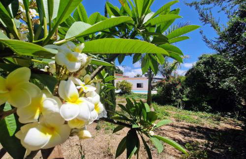 Casa con piscina privada y vistas - Foto 32