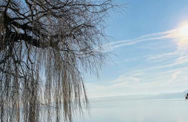 Ferienwohnung in Stockach am Bodensee - Photo 42