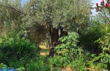 Villa Panorama Garden Chorto - Foto 12