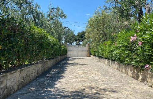 Villa Vittoria - Foto 42