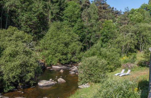 Gîte Le Moulin du Chambon 6/8 pers - Foto 40
