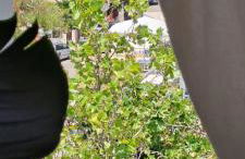 Case Vacanza Torre Canne - Foto 17