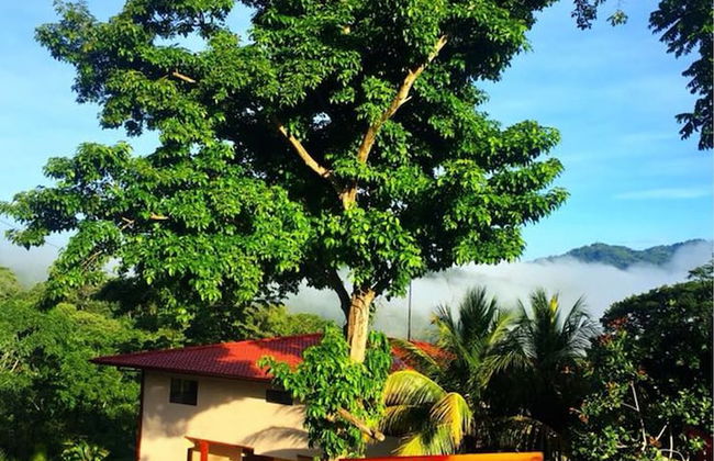 Valley of Dreams Eco Lodge - Foto 26