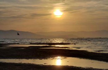 Lo de Joel - Foto 22