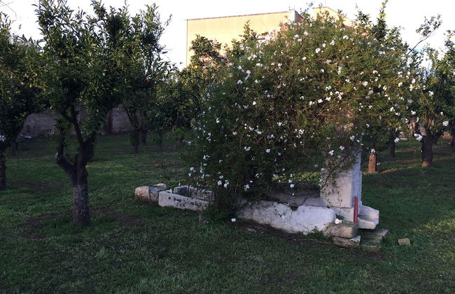 Agriturismo Arangea - Foto 37