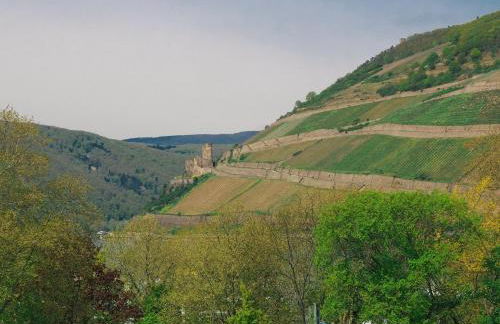 Rheinufer am Hindenburgpark - Foto 13