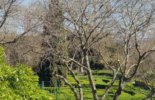 Belém Calling Apartment - Photo 19