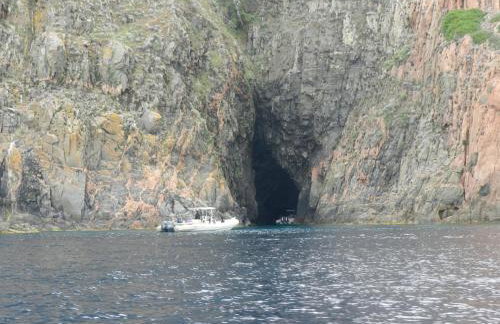 Les Asphodèles - Foto 18