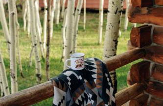 Colorado Glamping Adventures in Golden Gate Canyon Park, in this Cute Cabin Rental - Foto 6