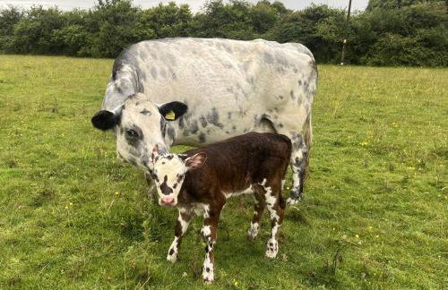 1 Bed in Market Weston oc-t27890 - Foto 24