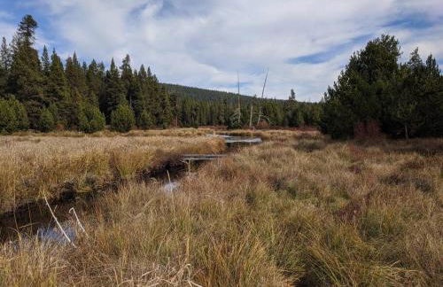 Wild Woods - Cascades Riverside Retreat - Foto 6