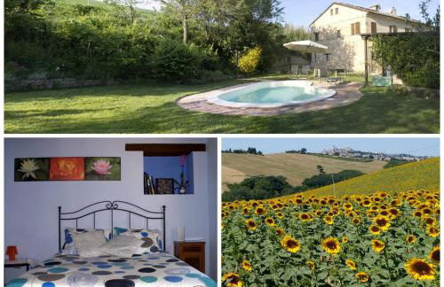 Casa il Girasole con piscina nelle Marche - Foto 2