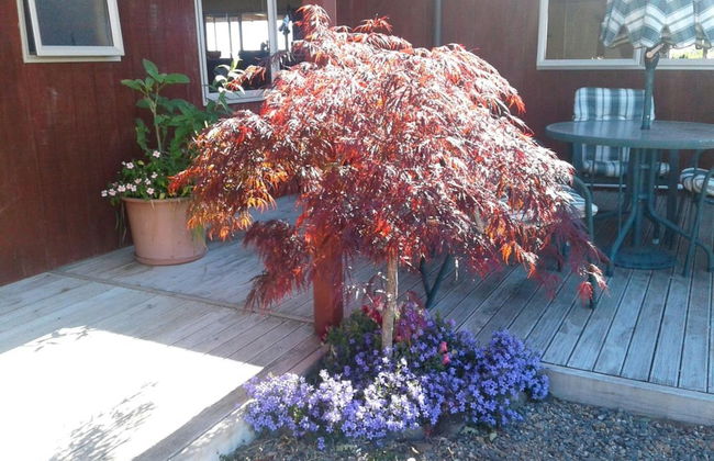 Kauri Lodge Karapiro - Foto 31