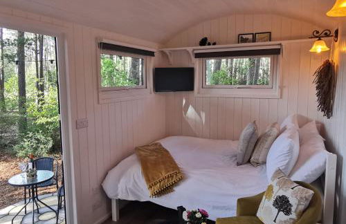 Forest Heath Shepherd's Huts - Foto 14