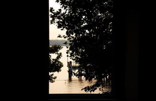 Light Blue - Foto 21