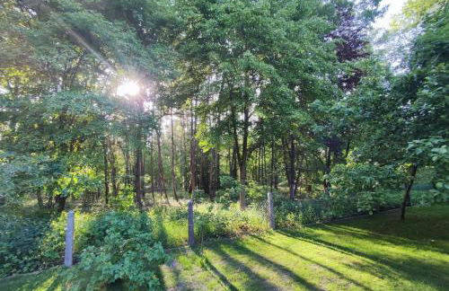 Waldidylle - Foto 14