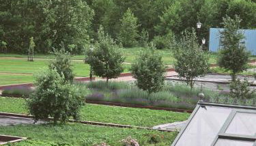 RZĄDCÓWKA Rogi - Foto 4