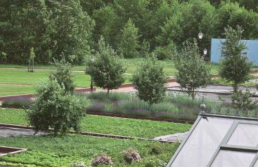 RZĄDCÓWKA Rogi - Foto 4