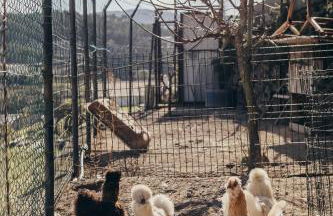 Casa da Carvalha - Foto 44