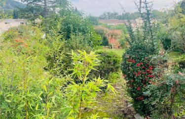 Maison 2 P- Peymeinade lotissement avec Piscine - Foto 17