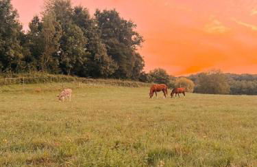 Charmante maison en pierres, séjour à la ferme - Foto 21
