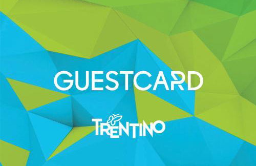 Aparthotel Majestic - Foto 58