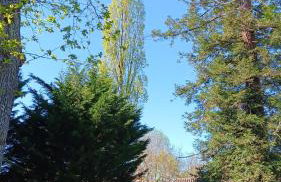 Le Moulin du Comte - en gîte - Foto 39