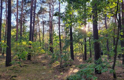 Apartament Walendów Park - Foto 20