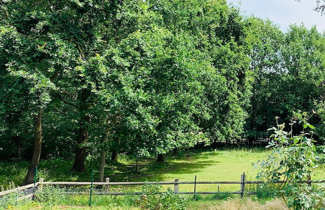 funckyho.me - Foto 2