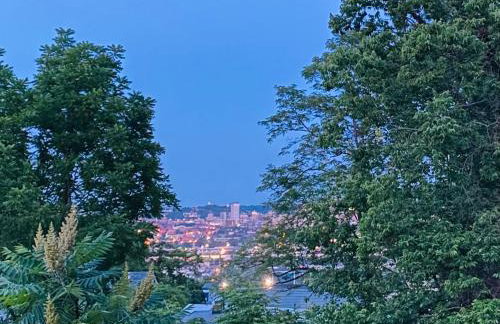 Amazing Downtown Views - 3 Minutes to Downtown! - Foto 4