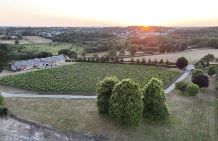 Gite -l'Appart- au Vignoble Domaine Lamballe, Baden, Golfe du Morbihan - Foto 17