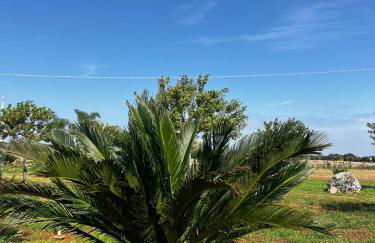 Agriturismo Molle - Foto 13